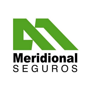 04-meridional-seguros-logo